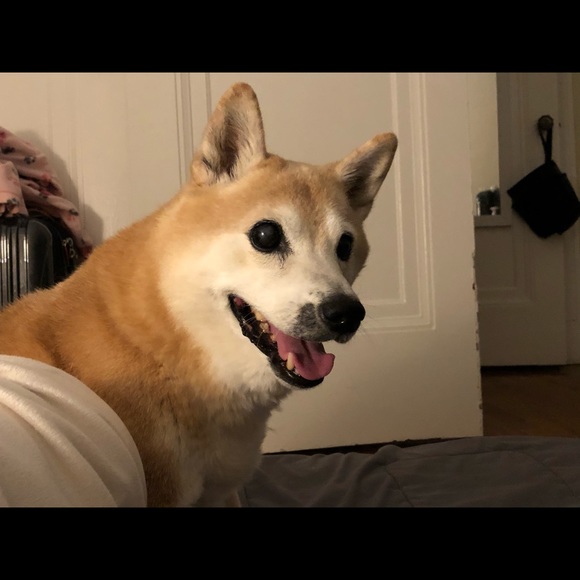 vdeportu